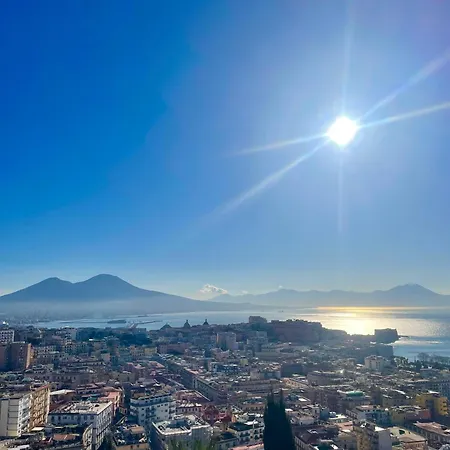 Piccini Napoli