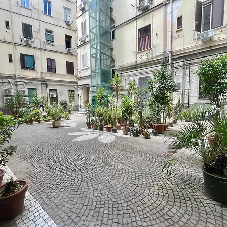Piccini Konukevi 4*